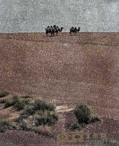 汪志杰 1987年作 灰色戈壁上的野驼 61×50cm